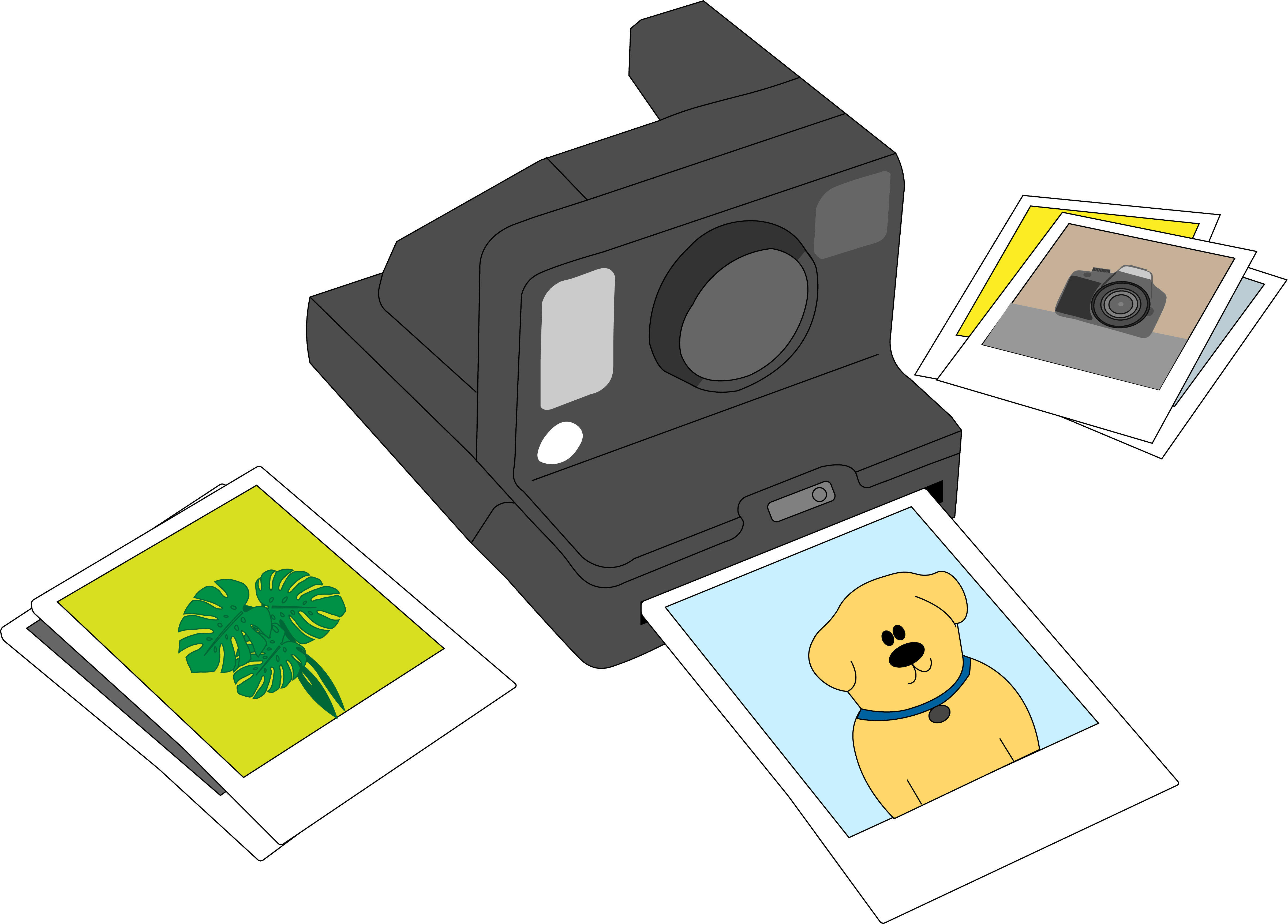 polariod